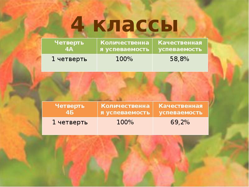 Четверть класса. Качественная и Количественная успеваемость. Четверть голосов от 100.