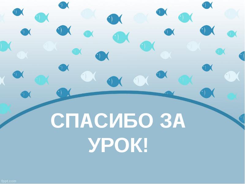 СПАСИБО ЗА УРОК!