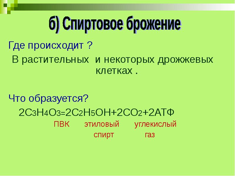 2 2 образует. Спиртовое брожение АТФ. Где происходит брожение. Этапы спиртового брожения в клетках дрожжей. Где происходит брожение в клетке.