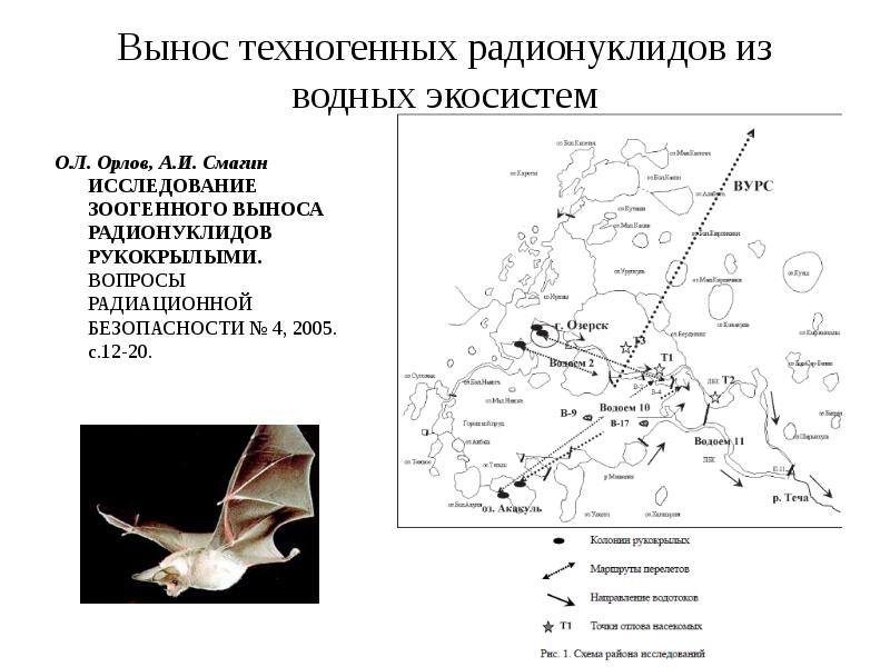 Схема миграции радионуклидов во внешней среде