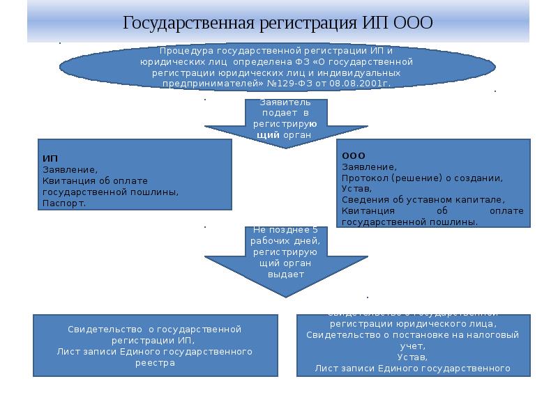 Государственная регистрация ИП ООО