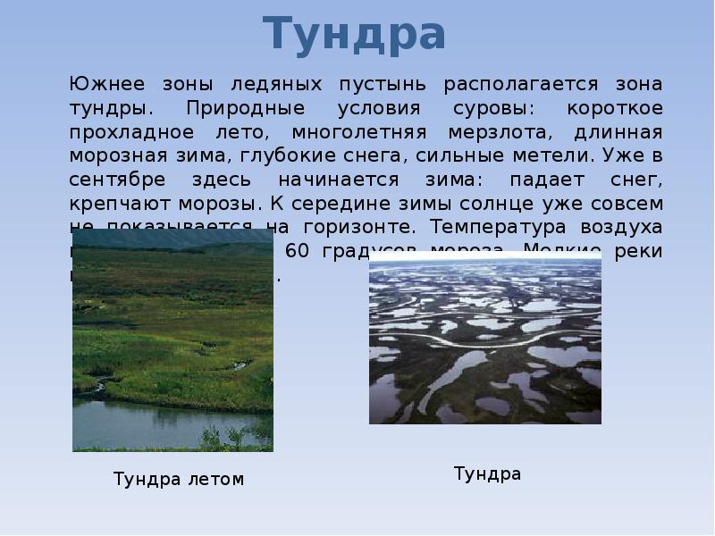 Тундра из какого языка пришло. Доклад о тундре. Сообщение о тундре. Презентация на тему природная зона тундра. Доклад по тундре.