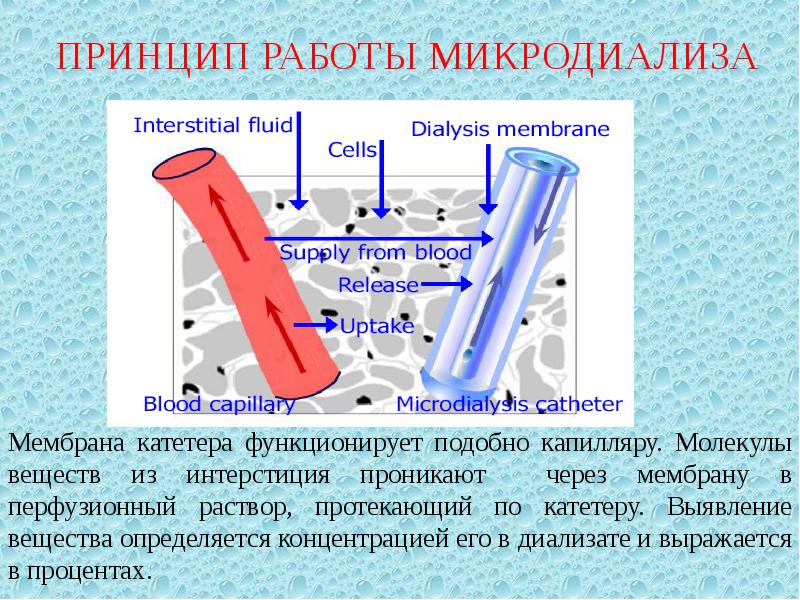 Травмы головы презентация