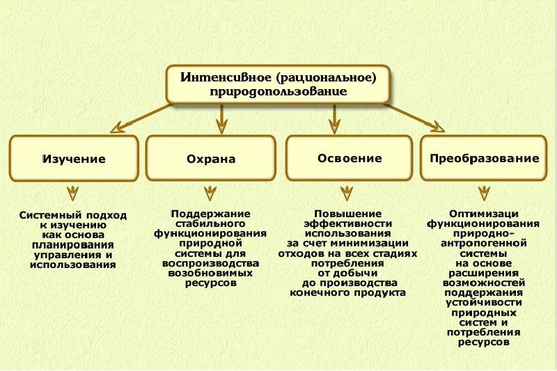 Приведите примеры рационального и нерационального природопользования заполните схему