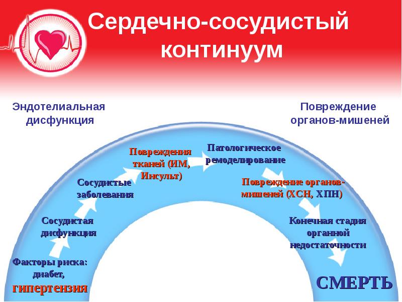 Сосудистые факторы. Сердечно-сосудистый Континуум. Сердечно-сосуд Континуум. Сердечнососудистый континеум. Слайд сердечно-сосудистый Континуум.