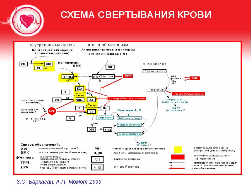 Факторы свертывания схема