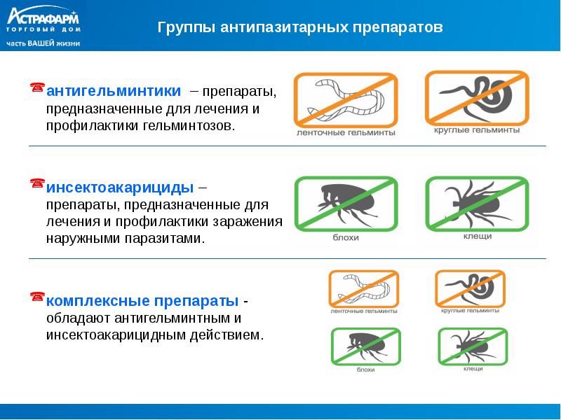 Противопаразитарные препараты презентация