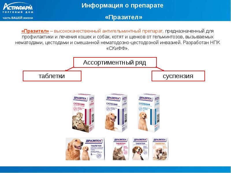 Антигельминтные препараты презентация