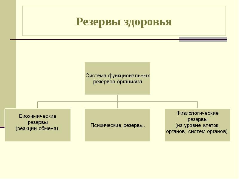 Резервы организма. Резервы здоровья человека. Подсистем функциональных резервов организма. Физиологические резервы организма.