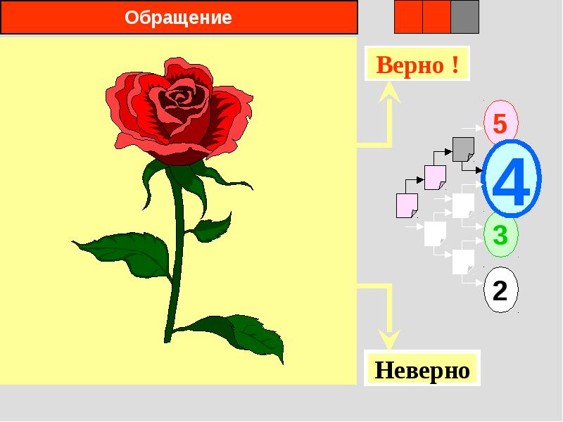 Верная 5 1. Розу принцип построения.