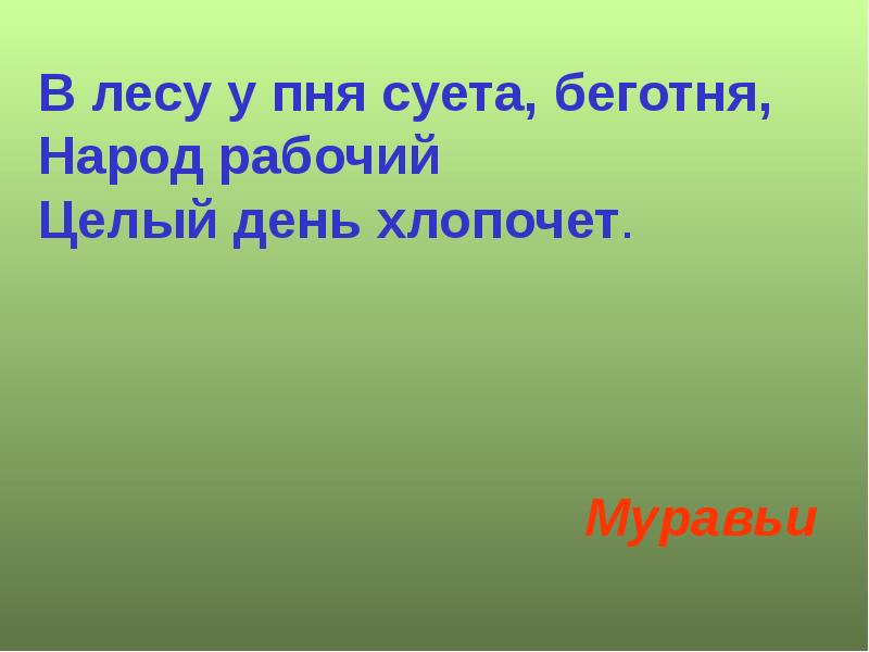 Хлопочет значение. В лесу у пня суетня беготня. в лесу у пня суетня беготня народ рабочий. в лесу у пня суетня беготня народ рабочий весь день хлопочет ответ. целый день хлопочет в лесу проворная.