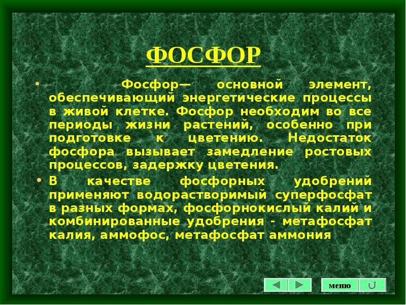 Фосфор основный. Фосфор для растений. Фосфор для растений значение. Влияние фосфорных удобрений на растения. Роль фосфора в жизни растений.