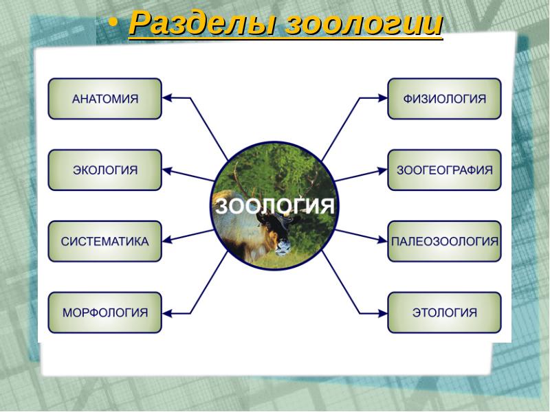 Картинки разделы биологии