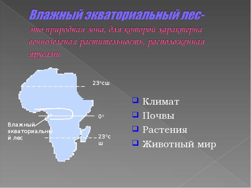 Влажные экваториальные леса количество осадков. Влажные экваториальные леса количество осадков