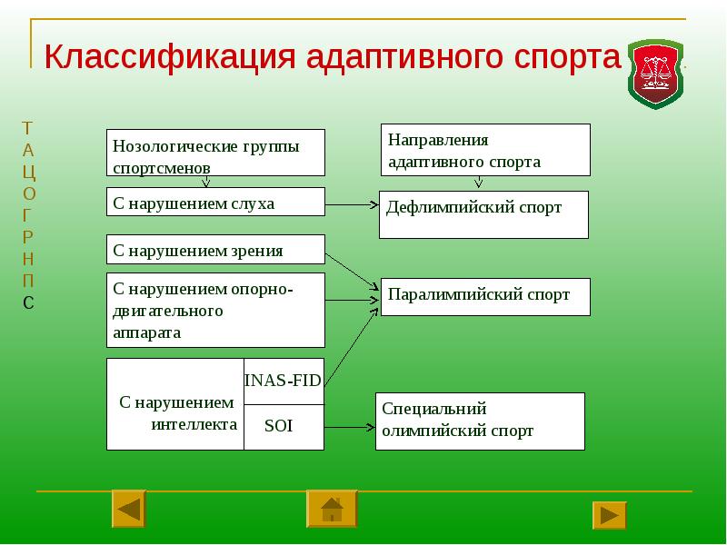 Направления спорта. Виды адаптивного спорта. Основные направления адаптивного спорта. Классификация адаптивного спорта. Классификация видов адаптивного спорта.