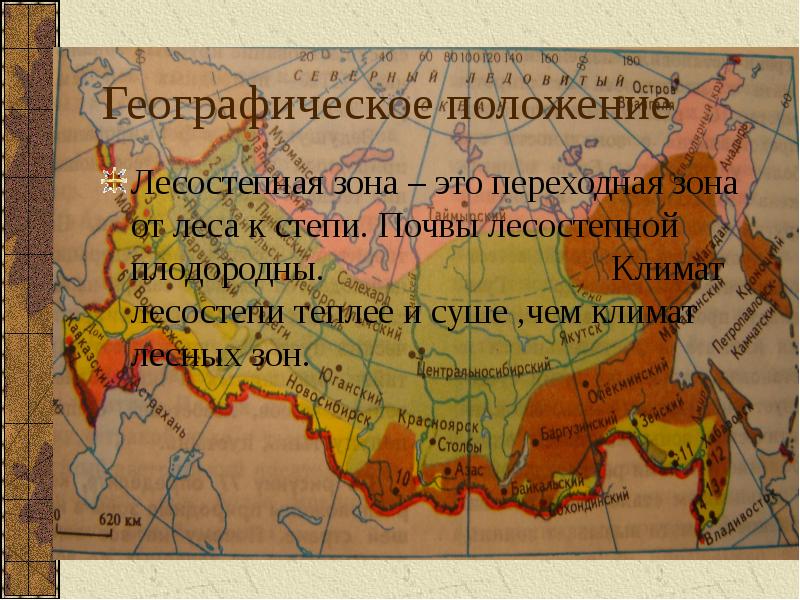 Нанесите на контурную карту лесостепную и степную. Географическое положение лесостепи в России на карте. Графическое положение лесостепи. Зона лесостепей географическое положение. Географическое положение степи.