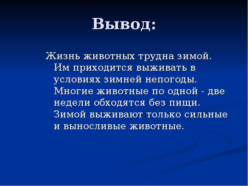 Какой вывод можно сделать к проекту