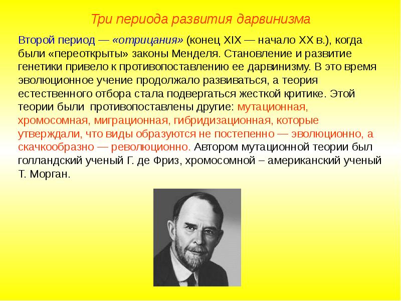 Презентация на тему синтетическая теория эволюции