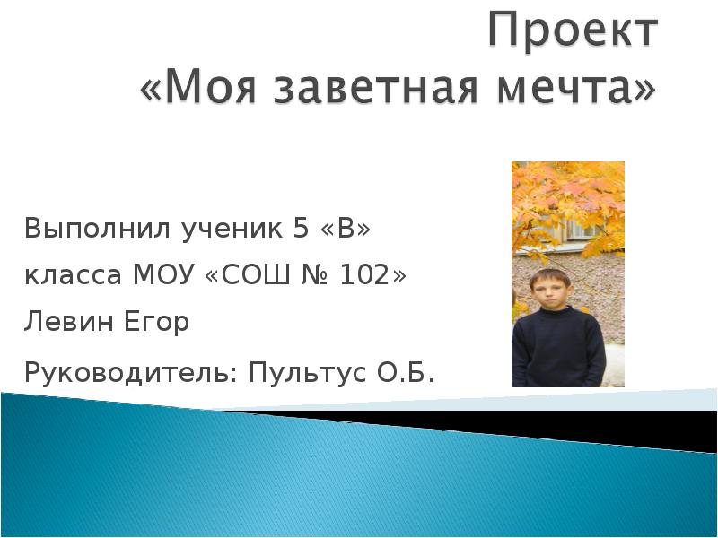 Проект мечты презентация