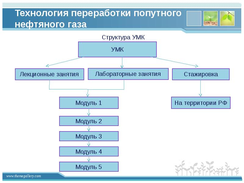 Структура газа. «Технология переработки птицы» схема. Ахметов технология глубокой переработки нефти и газа. Переработка нефти и газа, вступительные экзамены.