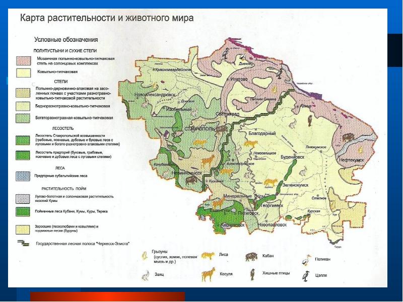 Карта рельефа ставропольского края