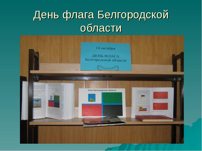 Школа 18 библиотека. Выставка к Дню флага Белгородской области. Книжная выставка ко Дню Белгородского флага. День флага Белгородской области в библиотеке. День флага Белгородской области выставка в библиотеке.