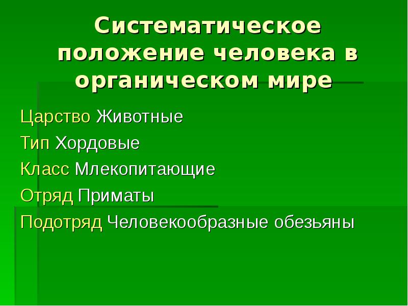 Хордовые систематическое положение. Систематическое положение человека. Систематическое положение человека в органическом мире. Систематическое положение человека в мире животных.