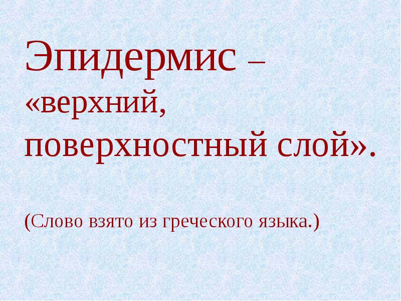 Презентация плешаков 3 класс надежная защита организма 3 класс