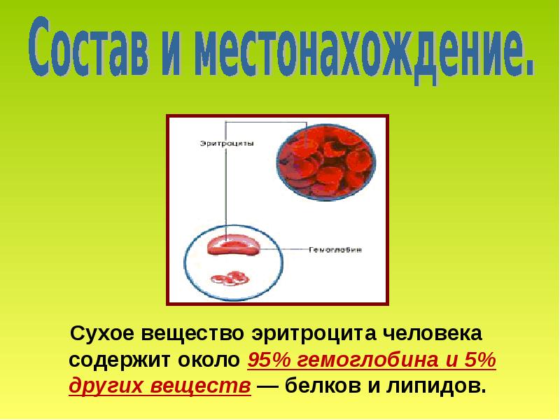 Презентация по химии гемоглобин