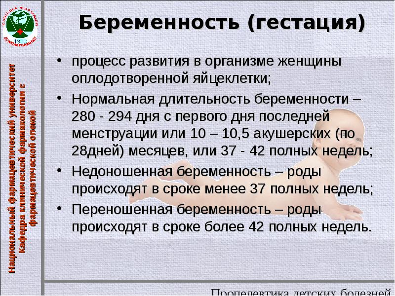 Первые недели гестации