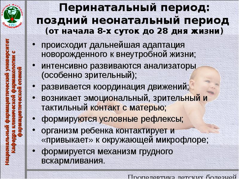 Периоды перинатального поражения