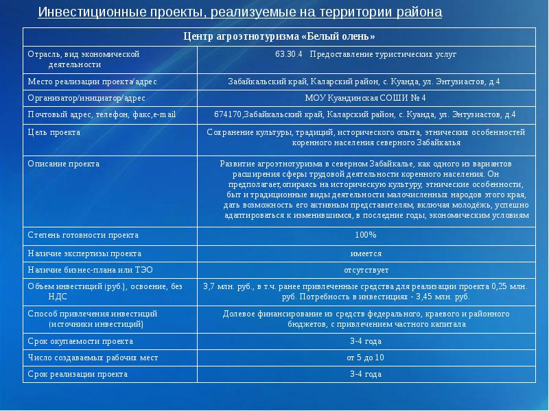 Паспорт проекта бизнес план