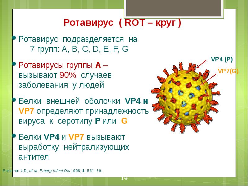 Ротавирусная инфекция у детей презентация