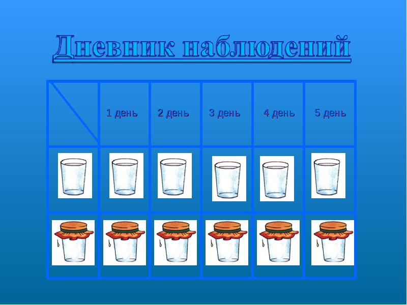 Как сделать наблюдение. Комнатные цветы дневник наблюдений. Дневник наблюдения за окрашиванием воды. Дневник наблюдения за экспериментом с окрашиванием воды. Дневник наблюдения за рыбками.