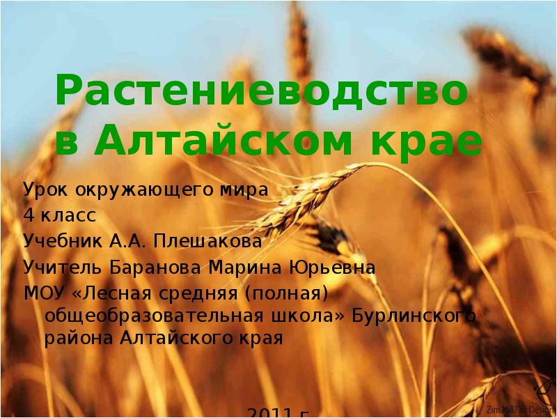 Презентация окружающий 4 класс наш край. Полеводство в Алтайском крае. Растениеводство Алтайского края. Растениеводства Алтайского края для презентации. Отрасли растениеводства в Алтайском крае.