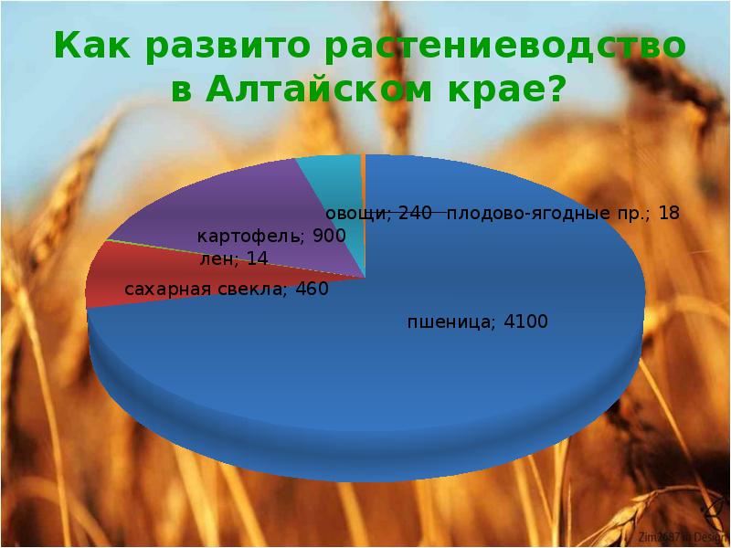 Как развито растениеводство в Алтайском крае?