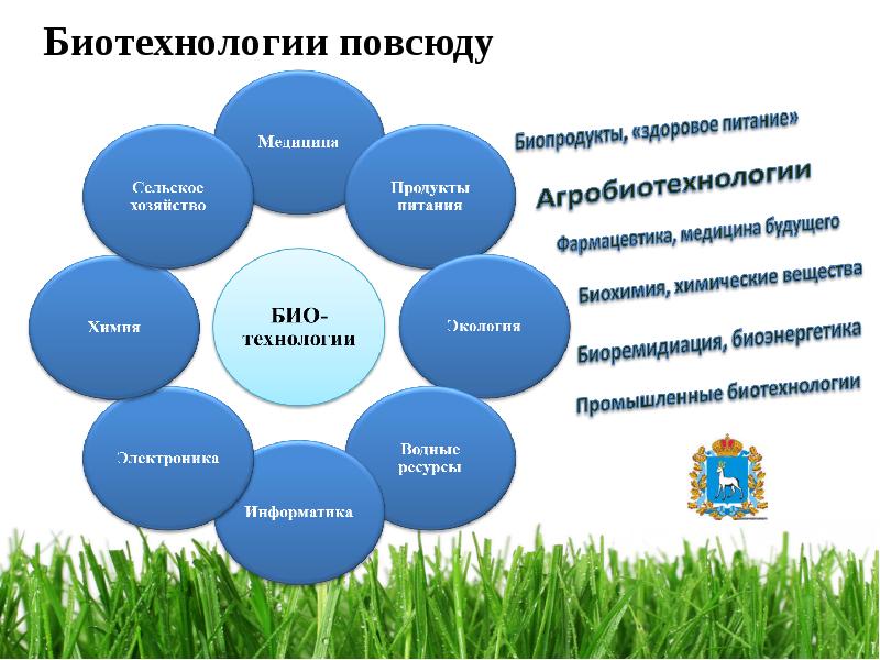 Биотехнологии проекты школьников