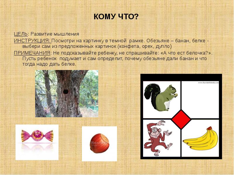 Из предложенных рисунков выберите. Игра выбери белку