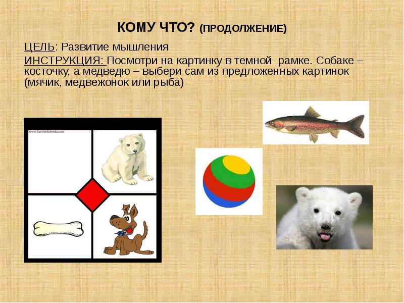 Выбери медведь. Медвежонок это символ фирмы. Выбери медведь. Выбери медведь. Спячка медведя зимой.