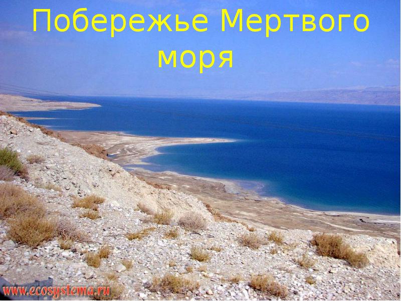 Впадина Гхор Мертвое море