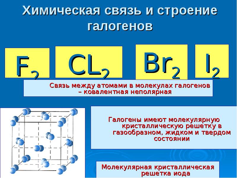 Галогены имеют