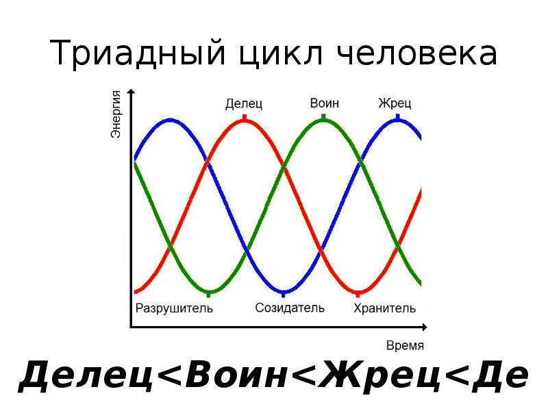 Мужской жизненный цикл