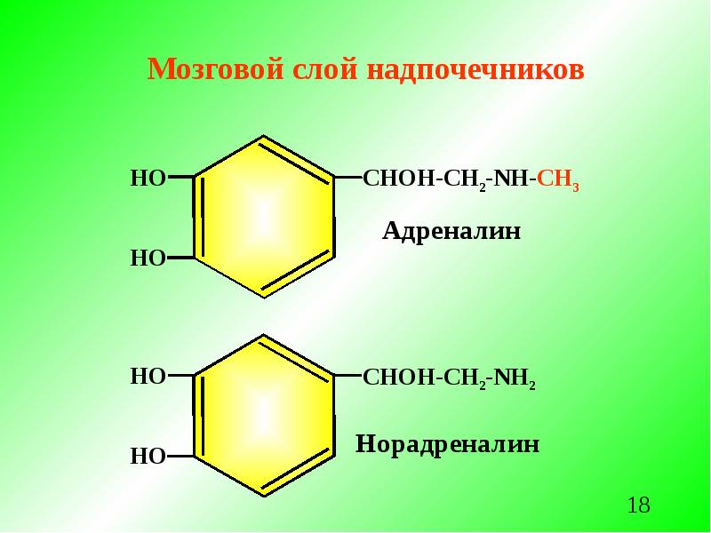 Гормоны мозгового слоя надпочечников презентация