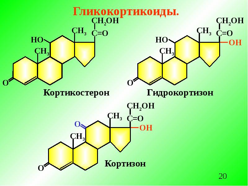 Кортизол биохимия презентация