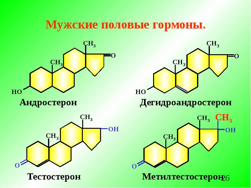 Женские половые гормоны презентация