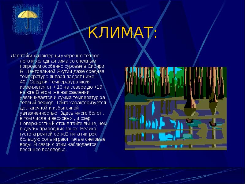 Тайга температура января и июля. Средняя температура января в тайге россии.