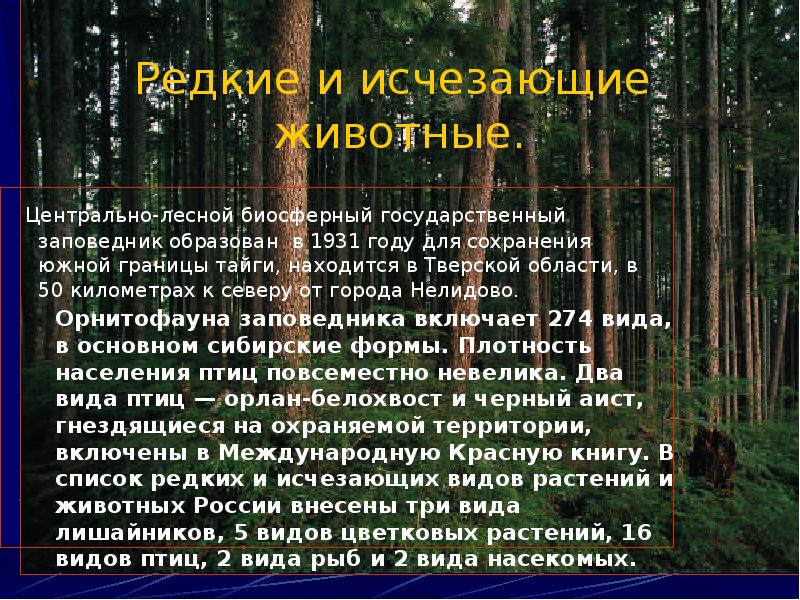 Центрально лесной заповедник животные и растения. Природная зона костомукшского заповедника. Тыйга заповедник охраняя мая територи. Какой заповедник находится в тайге. Л комарова.