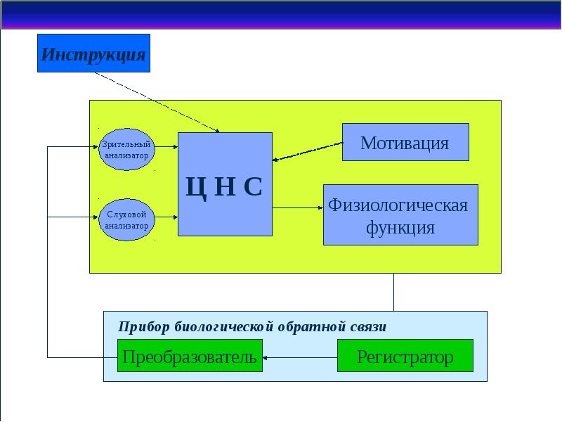 Функциональное биоуправление с обратными связями. Биологическая Обратная связь. Биологически Обратная связь.