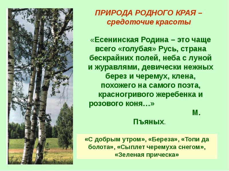 Стихотворение есенина с добрым утром. Вопросы о родном крае. Родная литература родная береза. Есенин о природе родного края. Урок Есенин с добрым утром презентация.