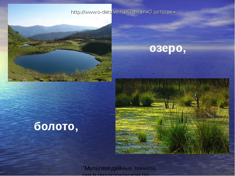 Чем отличается болото. Озеро болото. Озера и болота презентация. Озёра и болота география. Водоемы России.